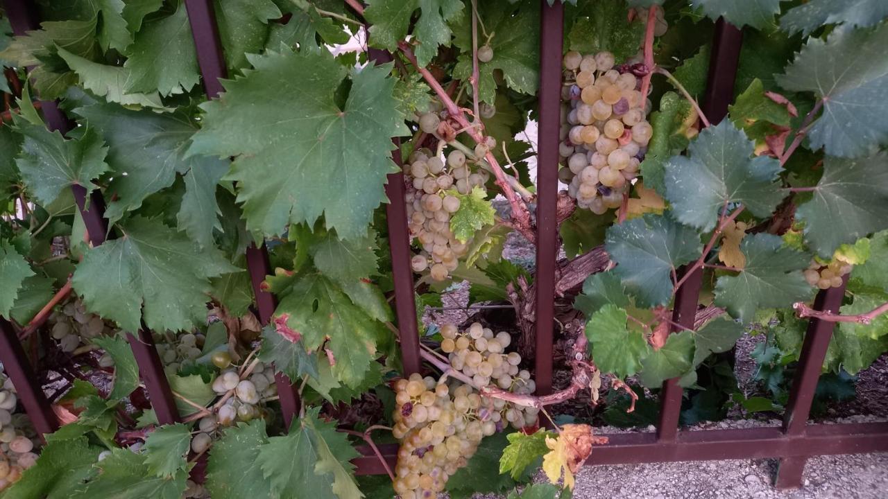 Villa Vinka Mostar Eksteriør bilde